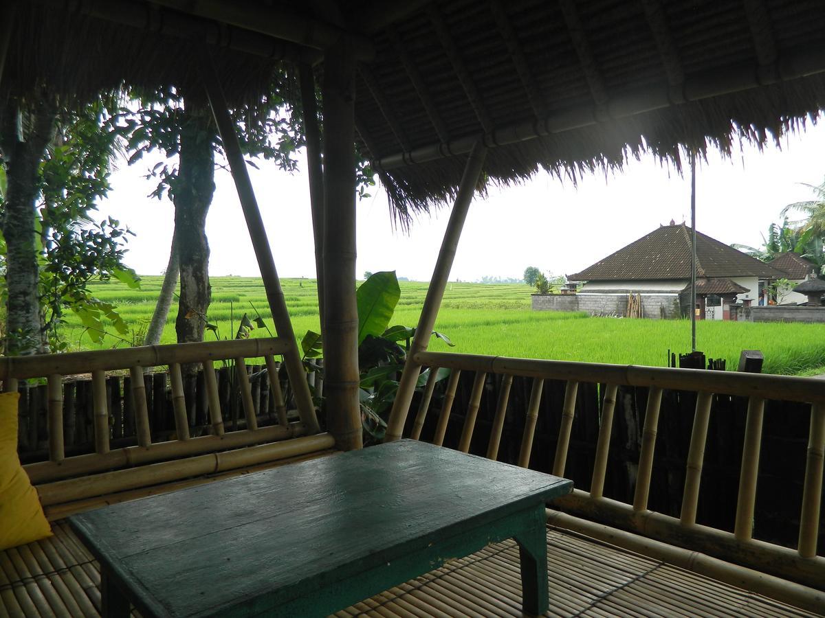 D'Tegale Homestay Cepaka Exterior photo